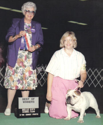 Scott's English Bulldog Champion Scotts Birdeye Cloud 9